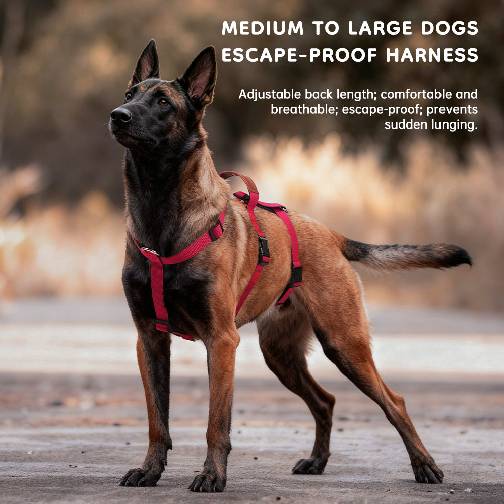 Harnais Tactique Anti-Traction pour Chien — Robuste et Ajustable