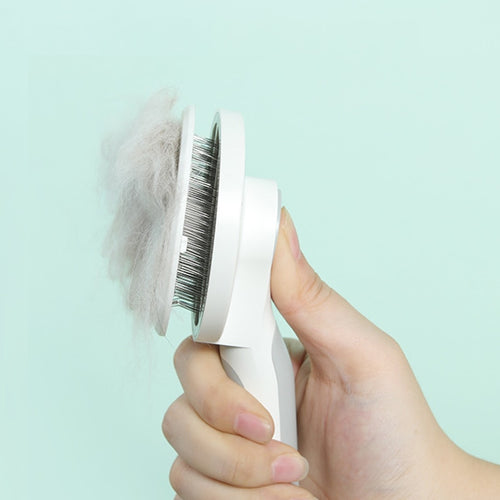 Brosse auto-nettoyante pour chien et chat