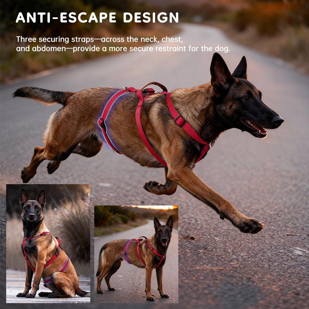 Harnais Tactique Anti-Traction pour Chien — Robuste et Ajustable