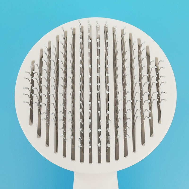 Brosse auto-nettoyante pour chien et chat