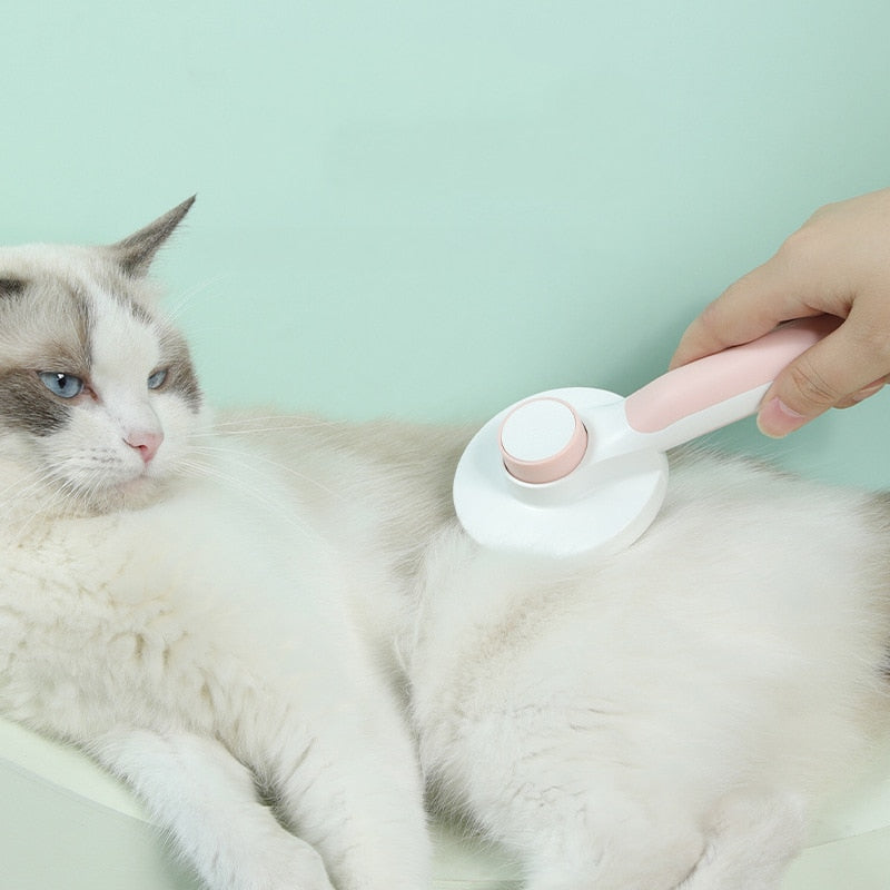Brosse auto-nettoyante pour chien et chat
