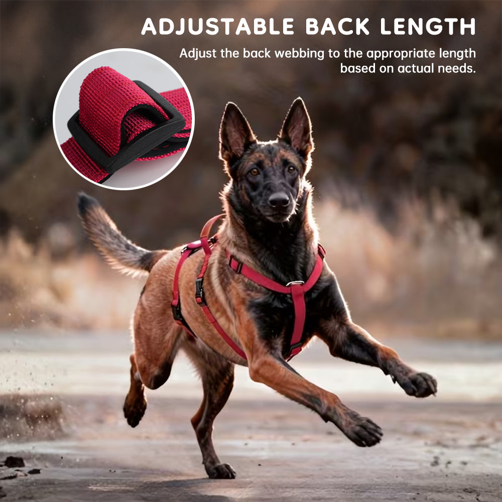 Harnais Tactique Anti-Traction pour Chien — Robuste et Ajustable